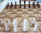Представители 8 регионов примут участие в Первенстве России по шахматам спорта слепых