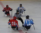 Три команды лидируют на чемпионате России по хоккею-следж в Алексине
