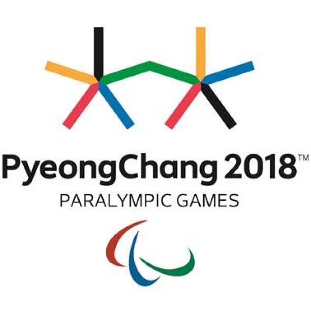 Выдержка из «Правила по поведению зрителей во время проведения Зимних Паралимпийских Игр 2018 в Пхенчхане» относительно проноса флагов на трибуны