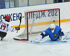А.А. Строкин в г. Сочи принял участие в церемонии открытия III Кубка Континента по следж-хоккею