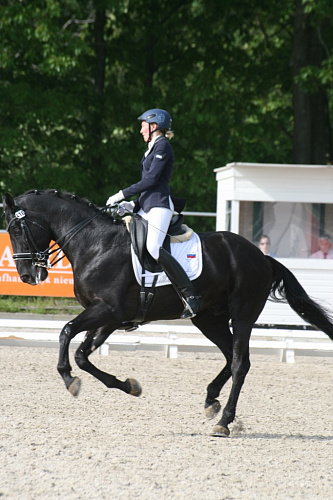 Российские спортсмены стали обладателями одной награды бронзового достоинства и четырех квот на участие в чемпионате Европы 2015 года в первые дни турнира по выездке, проходящего в г. Роозендале (Голландия)