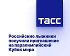 ТАСС: Российские лыжники получили приглашение на паралимпийский Кубок мира