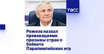 ТАСС: Рожков назвал провокациями призывы стран о бойкоте Паралимпийских игр