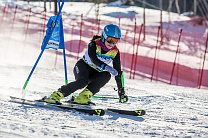 В г. Южно-Сахалинске пройдет чемпионат России по горнолыжному спорту и сноуборду среди спортсменов с ПОДА