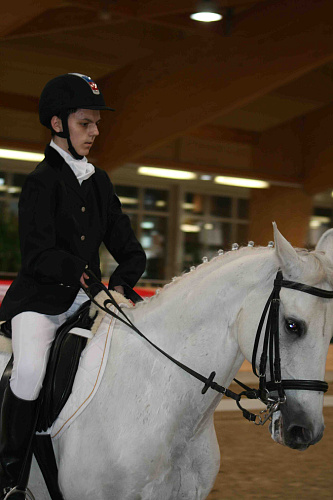 Сборная команда России по конному спорту среди лиц с поражением опорно-двигательного аппарата завоевала 3 золотые, 2 серебряные и 2 бронзовые медали в квалификационных соревнованиях для отбора на чемпионат мира