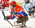 В Ижевске продолжается первый круг чемпионата России по следж-хоккею