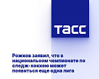 ТАСС: Рожков заявил, что в национальном чемпионате по следж-хоккею может появиться еще одна лига