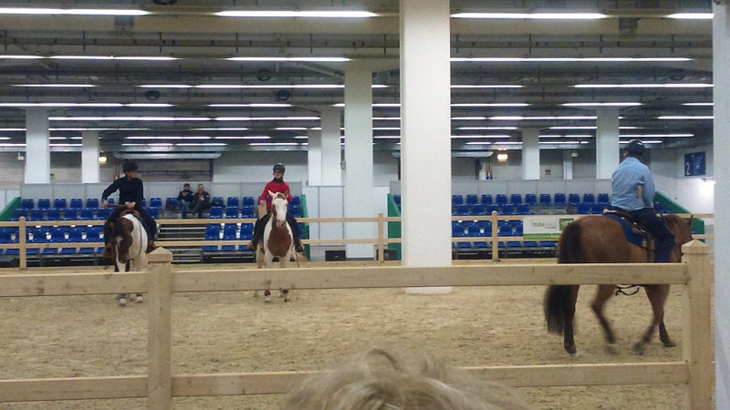 В Германии прошел Первый международный форум по паралимпийскому конному спорту