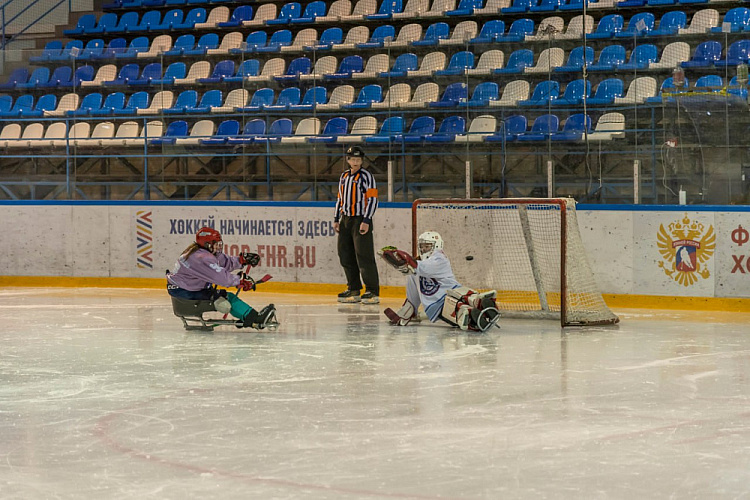 В Дмитрове подвели итоги первого женского чемпионата России по следж-хоккею «Снежная королева» В Дмитрове подвели итоги первого женского чемпионата России по следж-хоккею «Снежная королева»