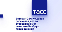 ТАСС: Ветеран СВО Кушаков рассказал, что во второй раз смог покорить Эльбрус после ранения