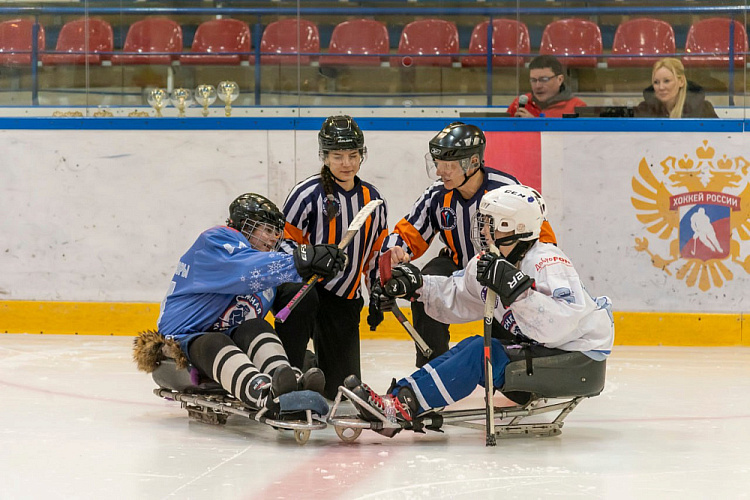 В Дмитрове подвели итоги первого женского чемпионата России по следж-хоккею «Снежная королева» В Дмитрове подвели итоги первого женского чемпионата России по следж-хоккею «Снежная королева»