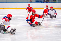 II этап чемпионата России по следж-хоккею пройдет в Тульской области
