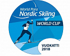 16 российских спортсменов с ПОДА примут участие в финальном этапе Кубка мира по лыжным гонкам и биатлону в Финляндии