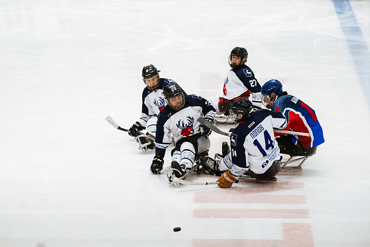 В Югре подведены итоги 3 круга чемпионата России по следж-хоккею в дивизионе «Высшая Лига» сезона 2025/2026