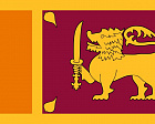 В.П. Лукин направил соболезнования Президенту Паралимпийского Комитета Шри–Ланки Раджива Викрамасингхе в связи с многочисленными жертвами серии взрывов, прогремевших в стране в воскресенье