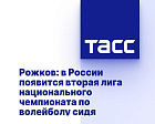 ТАСС: Рожков - в России появится вторая лига национального чемпионата по волейболу сидя