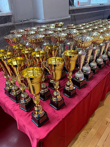 Сборная Республики Дагестан стала победителем общекомандного зачета чемпионата России по паратхэквондо