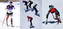 МПК с 13 июля 2022 года передал управление по 4 зимним видам спорта