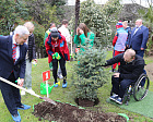 Чемпионы и призеры Паралимпийских игр в Сочи приняли участие в высадке деревьев на Аллее чемпионов