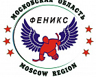 Стал известен состав СХК «Феникс» для участия в международном Кубке континента по следж-хоккею