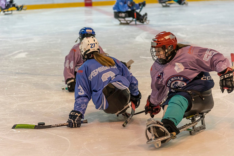 В Дмитрове подвели итоги первого женского чемпионата России по следж-хоккею «Снежная королева» В Дмитрове подвели итоги первого женского чемпионата России по следж-хоккею «Снежная королева»