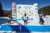 13 золотых, 8 серебряных и 12 бронзовых медалей завоевала сборная России по итогам четырех дней Кубка мира по паралимпийским лыжным гонкам и биатлону в Словении