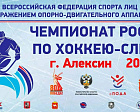 В Тульской области пройдет финальный круг чемпионата России по следж-хоккею 