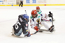 Новости Югры: Югра совместно с ПКР ведет подготовку к проведению Кубка континента КХЛ по следж-хоккею