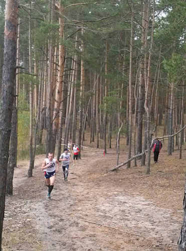 Спортсмены из четырех регионов победили в первом чемпионате России по легкоатлетическому кроссу ЛИН в Нижегородской области 
