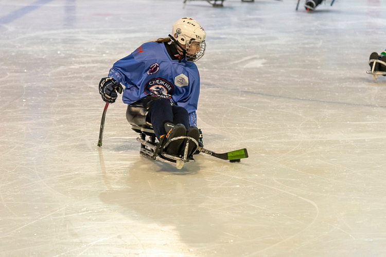 В Дмитрове подвели итоги первого женского чемпионата России по следж-хоккею «Снежная королева» В Дмитрове подвели итоги первого женского чемпионата России по следж-хоккею «Снежная королева»