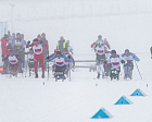 Сборная команда России примет участие в этапе Кубка мира по лыжным гонкам и биатлону МПК в Германии
