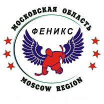 Стал известен состав СХК «Феникс» для участия в международном Кубке континента по следж-хоккею
