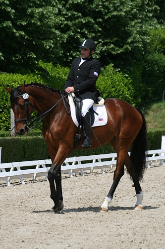 Российские спортсмены стали обладателями одной награды бронзового достоинства и четырех квот на участие в чемпионате Европы 2015 года в первые дни турнира по выездке, проходящего в г. Роозендале (Голландия)