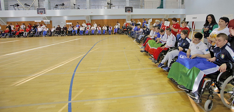 В Алексине определены победители чемпионата России по бочча