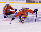 Команда «Феникс» в первый соревновательный день Кубка континента по хоккею-следж обыграла итальянский клуб «South Tirol Eagles»
