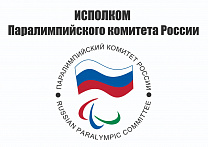 Президент ПКР В.П. Лукин с помощью средств электронных коммуникаций провел заседание Исполкома Паралимпийского комитета России
