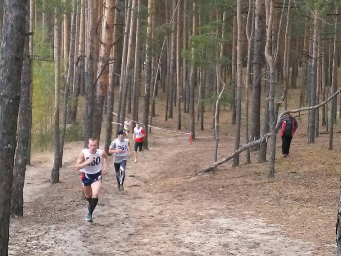 Спортсмены из четырех регионов победили в первом чемпионате России по легкоатлетическому кроссу ЛИН в Нижегородской области 