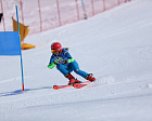 1 золотую, 1 серебряную и 2 бронзовые медали завоевала сборная команда России на международных соревнованиях по горнолыжному спорту МПК в Швейцарии