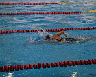 Около 300 спортсменов ожидается на первом этапе Кубка России по плаванию спорта лиц с ПОДА в Республике Башкортостан