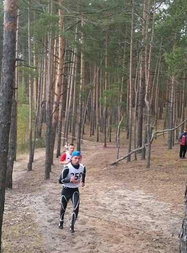 Спортсмены из четырех регионов победили в первом чемпионате России по легкоатлетическому кроссу ЛИН в Нижегородской области 