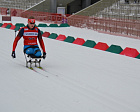 Российские лыжники одержали 5 побед во второй день I этапа Кубка мира по лыжным гонкам и биатлону в Тюмени