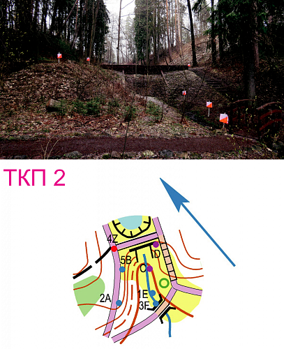 ​Российские спортсмены-опорники приняли участие во втором онлайн-старте по спортивному ориентированию